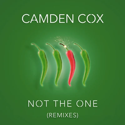 Camden CoxJoshwa (UK) Not the One (Remixes)