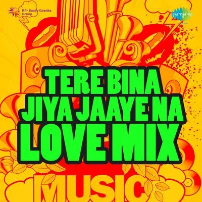 Tere Bina Jiya Jaaye Na Love Mix 專輯 Udit Narayan