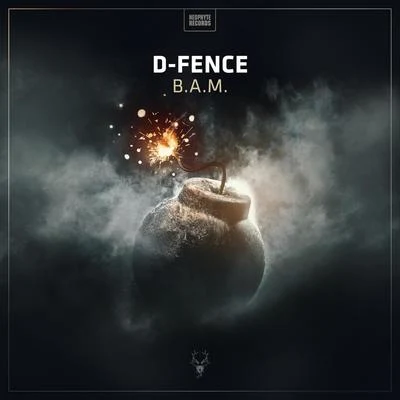 B.A.M. 专辑 D-Fence