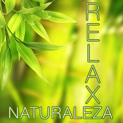 Radio Musica Clasica Naturaleza Relax - Las Mejores Músicas Relajantes para Meditación, Clases de Yoga, Reiki, Spa, Salones de Belleza y para Lograr la Paz y la Tranquilid