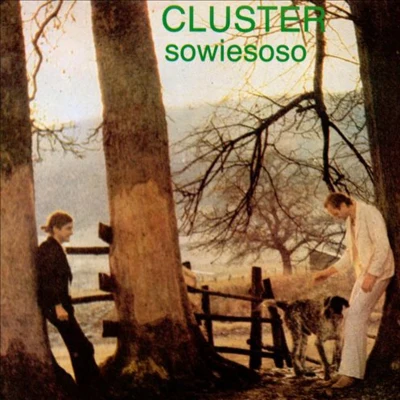 Sowiesoso 專輯 Cluster