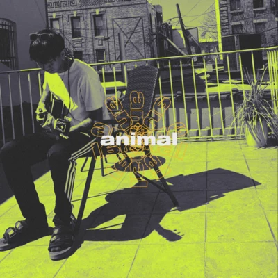 animal 專輯 Yawns/Cold Hart