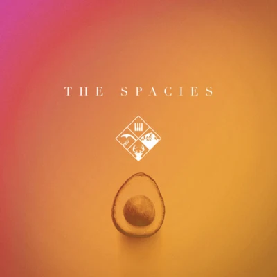 Stay a While 专辑 ToWonder/The Spacies