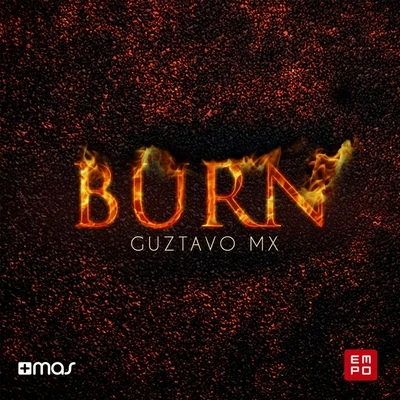 Burn 专辑 Delove/Guztavo MX