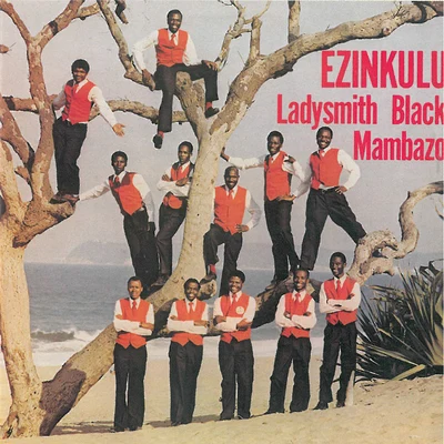 Ezinkulu 專輯 Ladysmith Black Mambazo