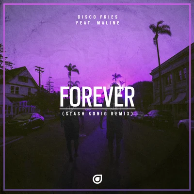 Disco Fries Forever (Stash Konig Remix)