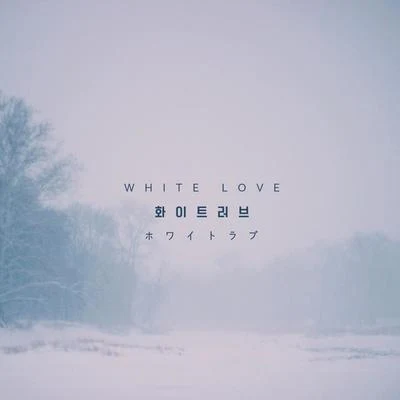 White Love 專輯 趙正模/JD