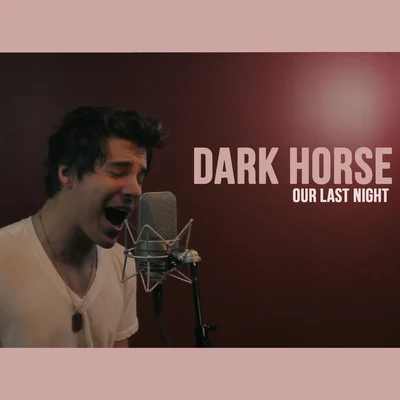 Dark Horse (Rock) 专辑 Our Last Night