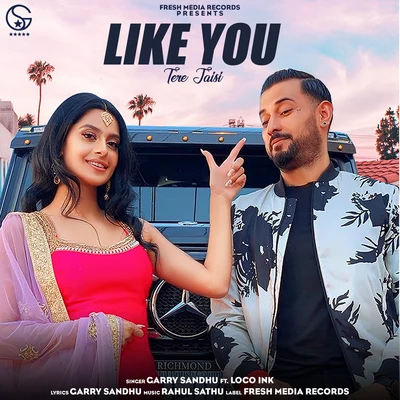 Like You (Tere Jaisi) 專輯 Garry Sandhu/Gurlej Akhtar