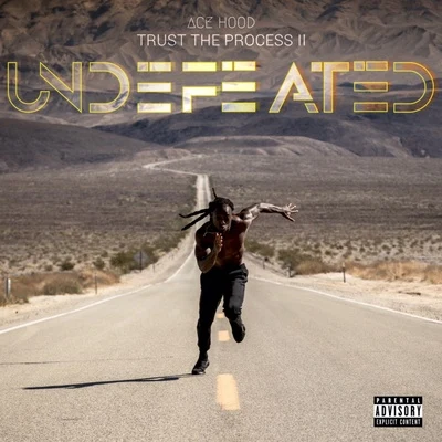 Trust the Process II: Undefeated 专辑 Ace Hood