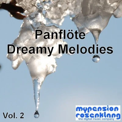 Panflute - Dreamy Melodies Vol. 2 专辑 Claude Carrasu/Erwin Lehn/Hans Wenzel/Helmut Kirchgässner/Jan Loren