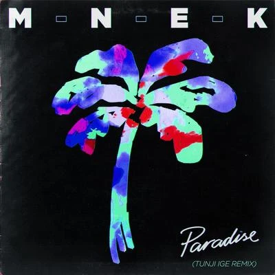 MNEKCyantific Paradise (Tunji Ige Remix)