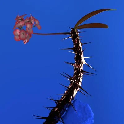 Hyperreal 專輯 Flume