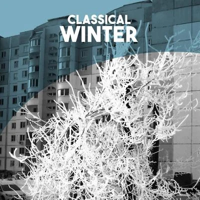 Classical: Winter 專輯 Anatole Fistoulari