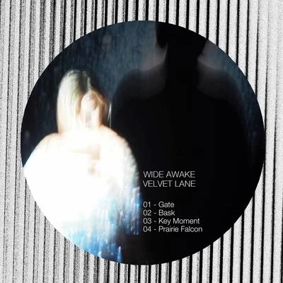 Velvet Lane 專輯 Jaguar Skills/Wide Awake