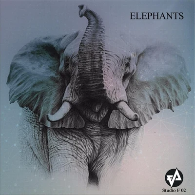 Elephants 專輯 Fabiano Alves