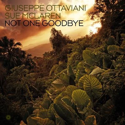 Not One Goodbye 專輯 Sue McLaren/La Antonia/Kaimo K/Paul Denton/Stargazers