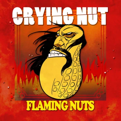 7집 FLAMING NUTS 專輯 Crying Nut