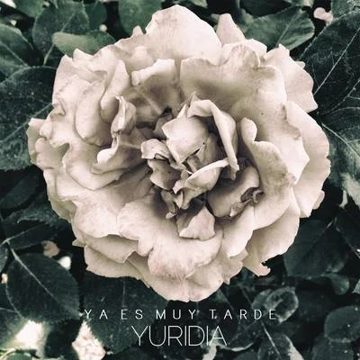 Ya Es Muy Tarde 专辑 Chucho Rivas/Yuridia