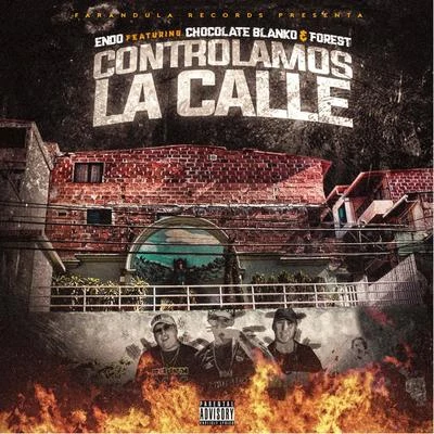 Controlamos la Calle 專輯 Doggy El De La Fundacion/Endo