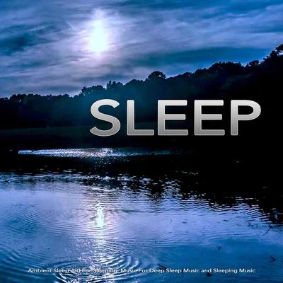 Sleep: Ambient Sleep Aid For Sleeping, Music For Deep Sleep Music and Sleeping Music 专辑 Water Sounds for Sleep/Sleeping Music Experience/Zona Música Relaxante