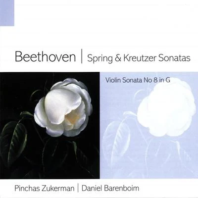 Beethoven Spring & Kreutzer Sonatas 專輯 Pinchas Zukerman