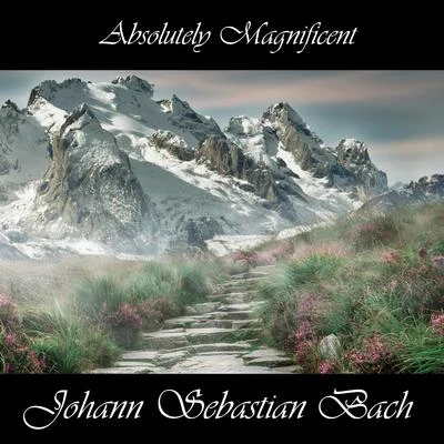 Absolutely Magnificent Johann Sebastian Bach 專輯 Gilbert Varga/Johann Sebastian Bach/Tibor Varga/Orchestre de Chambre Tibor Varga