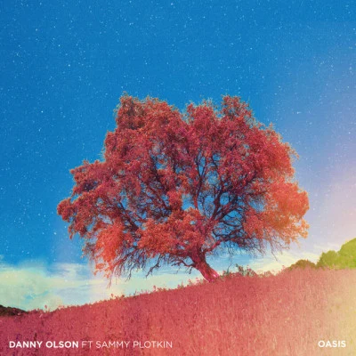 Oasis 專輯 Danny Olson