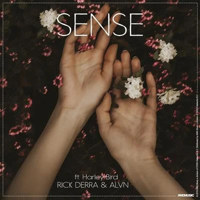 Sense 專輯 Harley Bird/Kløn