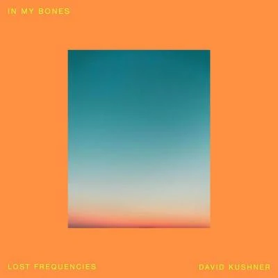 In My Bones 專輯 Lost Frequencies/Everyone You Know