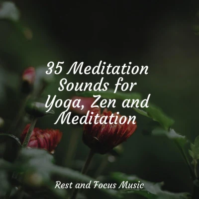 35 Meditation Sounds for Yoga, Zen and Meditation 專輯 Studying Music/Yoga Soul/Shakuhachi Sakano