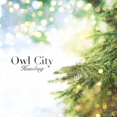 Humbug 專輯 Owl City