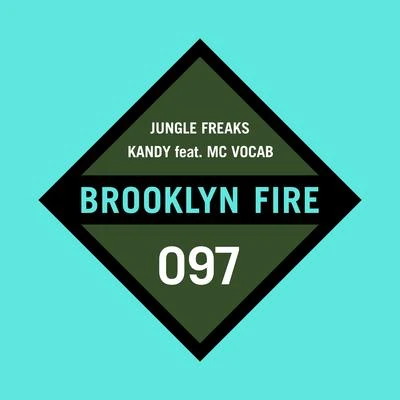 Jungle Freaks (Original Mix) 专辑 Callie Reiff/Kandy