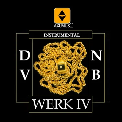 Werk IV (Instrumental) 專輯 DVNB/AXUMUS