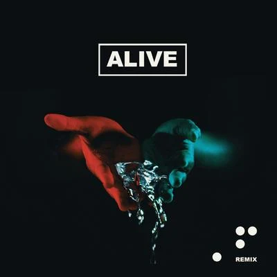 Alive (Franklin Remix) 专辑 Naations