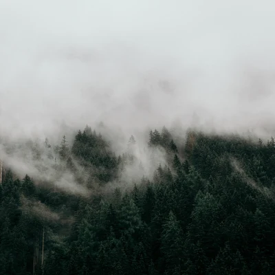 Meditación GuiadaPiano para DormirSonido de lluvia La Zona De Meditación - Canto Al Infinito