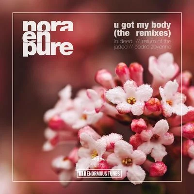 Nora En Pure U Got My Body - The Remixes