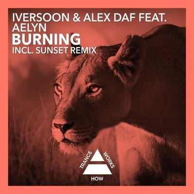 Burning 專輯 Mark Krupp/Iversoon/IV而soon & mark Krupp