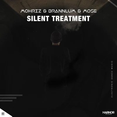 Silent Treatment 專輯 MohRiz/LostWind/Ririn Tampoma