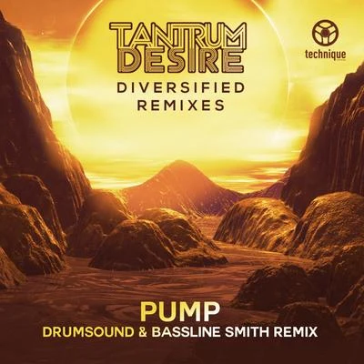 Pump (Drumsound & Bassline Smith Remix) 專輯 Tantrum Desire/I-Kay