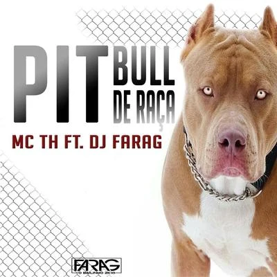 Pitbull de Raça 专辑 Mc Th/Mc Matias/MC Abalo