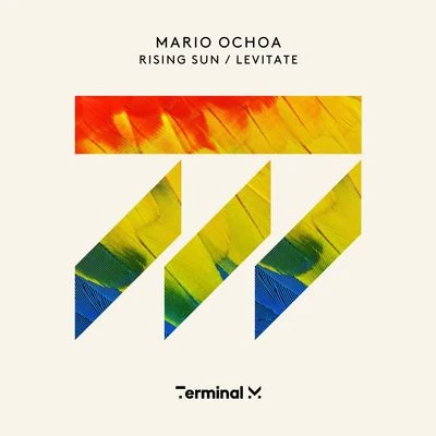 Rising SunLevitate 專輯 Andrea Roma/Mario Ochoa/PHNTM/Ant Brooks/SONA