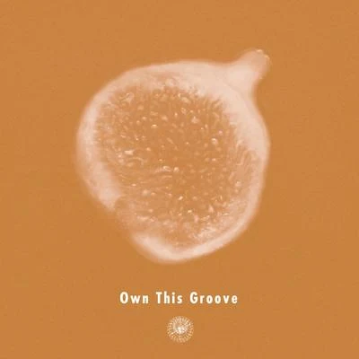 Own This Groove (feat. Liyv) 专辑 AMPM/Michael Kaneko