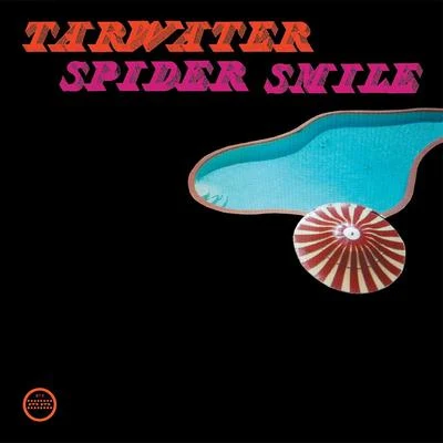 Spider Smile 专辑 Tarwater/ONE/Liquid Lounge/Lani Hall/Edu Lobo