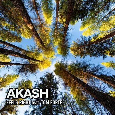 Feels Right (feat. Tom Forte) 專輯 Akash/Kingsta