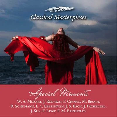 Music for Special Moments W. A. Mozart, J. Rodrigo, F. Chopin, M. Bruch, R. Schumann, L. v. Beethoven, J.S. Bach, J. Pachelbel, J. Suk, F. Liszt, F. M 專輯 Dale Kavanagh