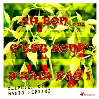 Cest Bon 专辑 Mario Ferrini/Juicy Lotta