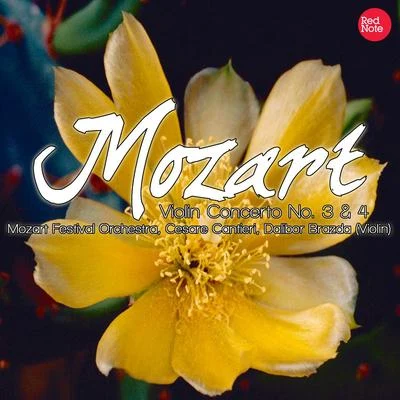 Mozart: Violin Concerto No. 3 & 4 專輯 Mozart Festival Orchestra/Marylene Dosse/Joseph Haydn/London Festival Orchestra/Jan Hus Tichý