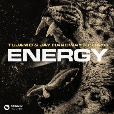 Energy (feat. Bay-C) 专辑 Jay Hardway