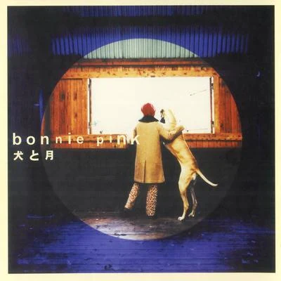 犬と月 專輯 Bonnie Pink/Night Tempo/크리스탈 티/野宮真貴/山本彩